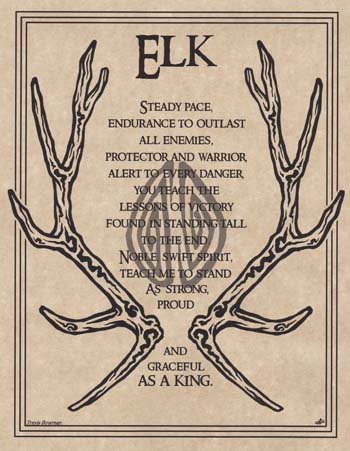 (image for) Elk Prayer